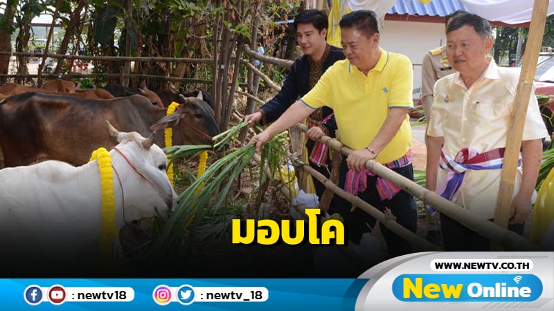 "วิรัช" นำทีมมอบโค 54 ตัวให้เกษตรกรยืมเลี้ยง 5 ปี (มีคลิป)