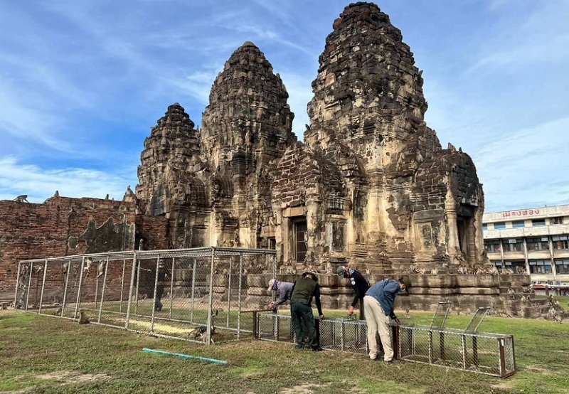 "พัชรวาท"สั่งกรมอุทยานฯออกระเบียบจ่ายเงินเยียวยา ปชช.ถูกลิงทำร้าย