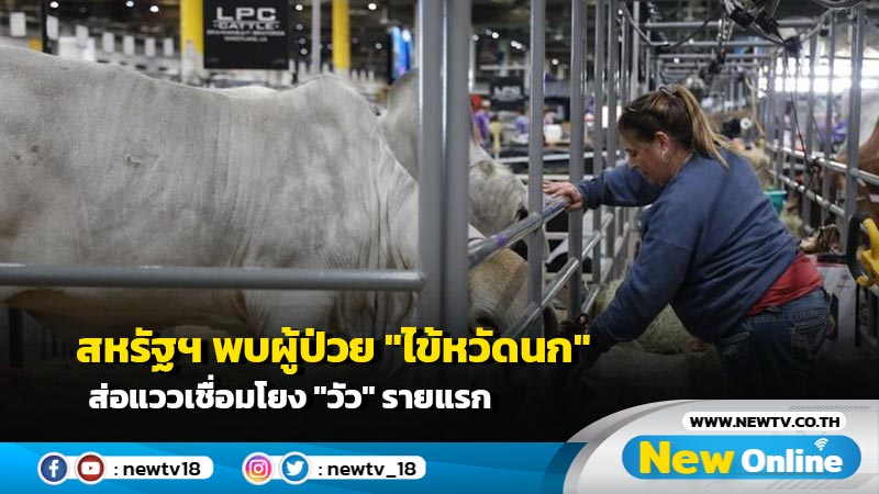 สหรัฐฯ พบผู้ป่วย "ไข้หวัดนก" ส่อแววเชื่อมโยง "วัว" รายแรก