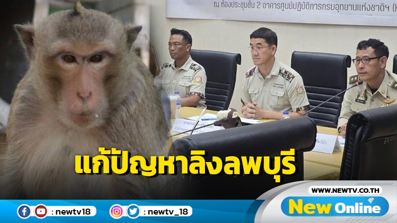 กรมอุทยานฯแจงแนวทางแก้ปัญหาลิงลพบุรี  