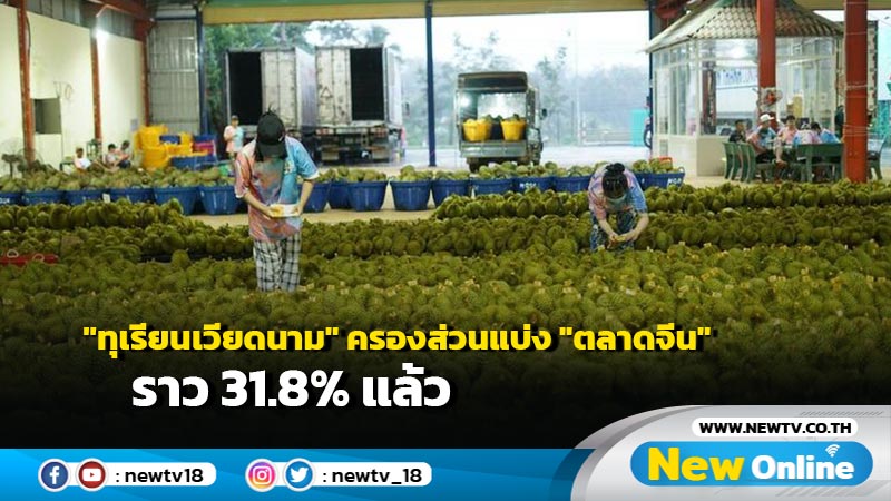 "ทุเรียนเวียดนาม" ครองส่วนแบ่ง "ตลาดจีน" ราว 31.8% แล้ว