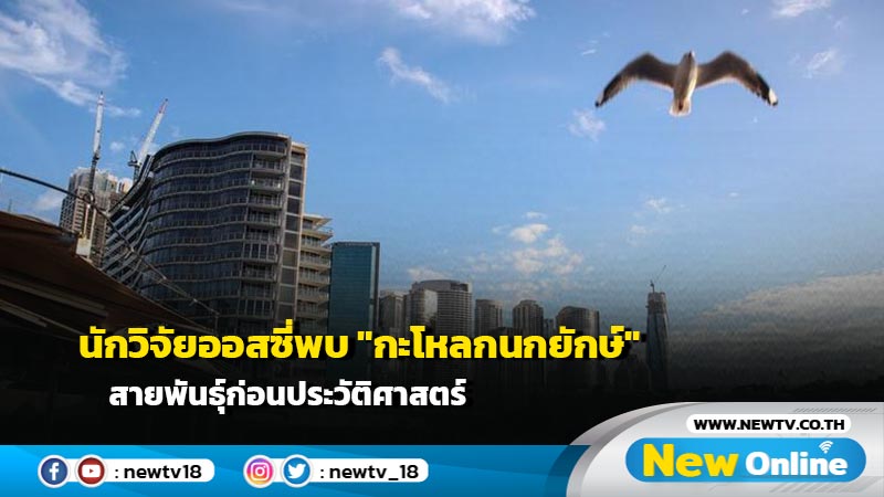 นักวิจัยออสซี่พบ "กะโหลกนกยักษ์" สายพันธุ์ก่อนประวัติศาสตร์