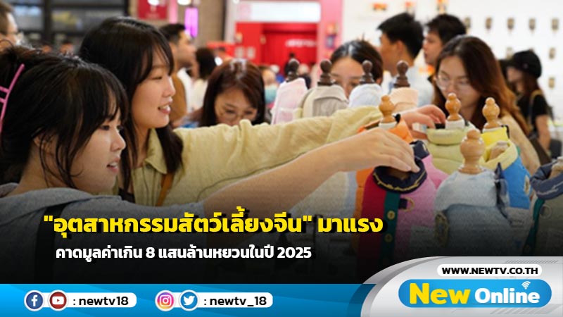 "อุตสาหกรรมสัตว์เลี้ยงจีน" มาแรง คาดมูลค่าเกิน 8 แสนล้านหยวนในปี 2025