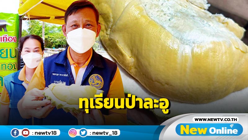 นอภ.หัวหินชวนชิมทุเรียนป่าละอู  