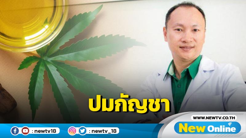  "หมอชนินทร์" ชี้นำกัญชากลับมาเป็นยาเสพติดกระทบผู้ป่วย