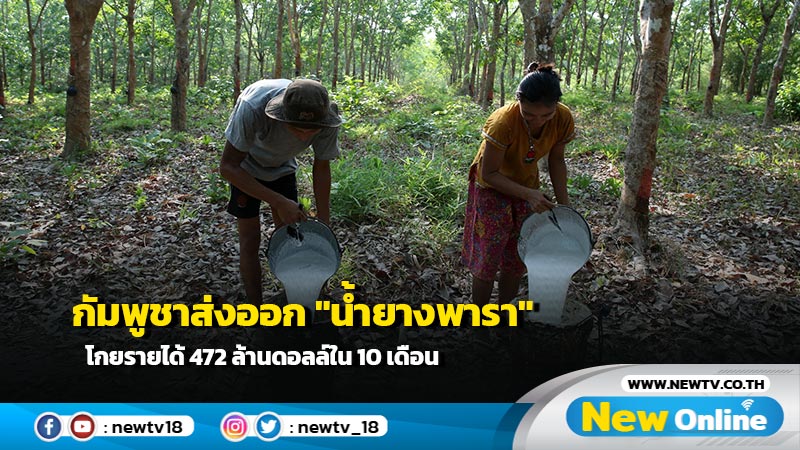 กัมพูชาส่งออก "น้ำยางพารา" โกยรายได้ 472 ล้านดอลล์ใน 10 เดือน