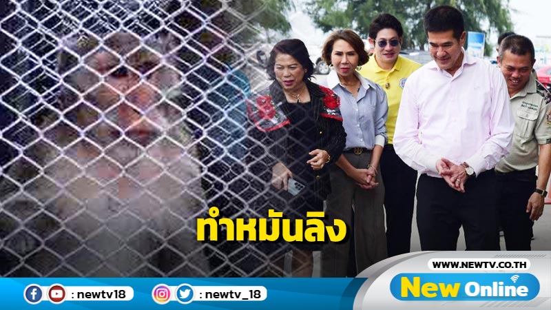 หัวหินทำหมันย้ายลิงเกเรไปที่พักพิงใหม่