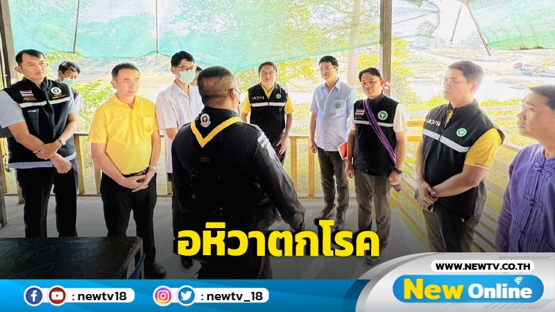 ไทยพบผู้ป่วยอหิวาตกโรค 4 ราย