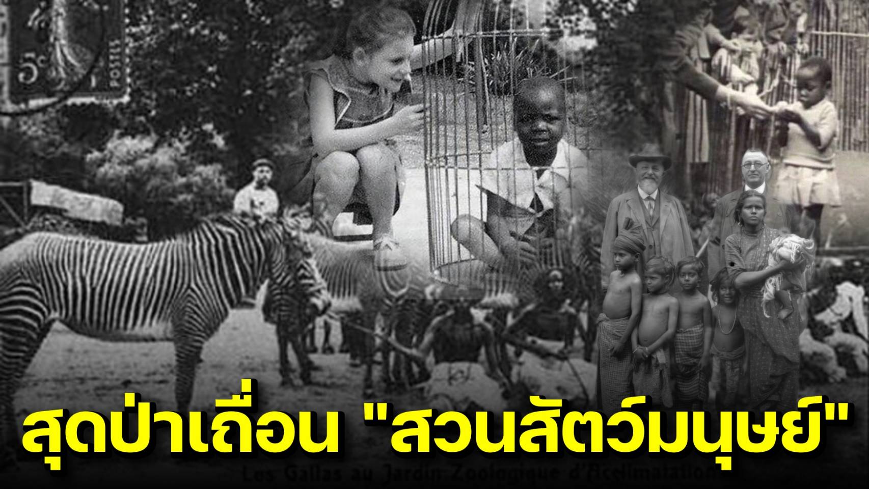 "สวนสัตว์มนุษย์" (Human Zoo) บาดแผลในประวัติศาสตร์และบทเรียนของสังคม