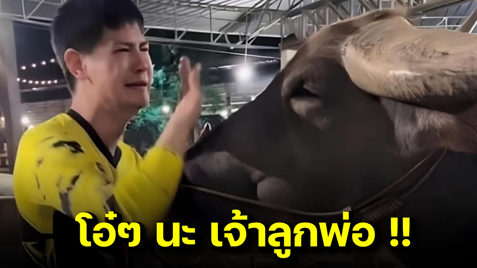 “น้ำ รพีภัทร” ร้องไห้โฮกอดควายสุดรัก ลั่นไม่ท้องก็ไม่เป็นไร พ่อรักเอง!